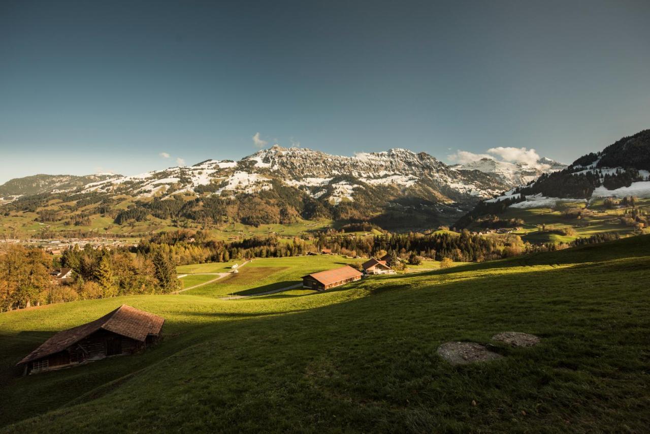 Chalet Bergwelt Frutigen Buitenkant foto